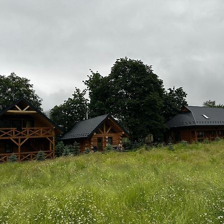 Chalet Pidstromom Mykulychyn Dış mekan fotoğraf