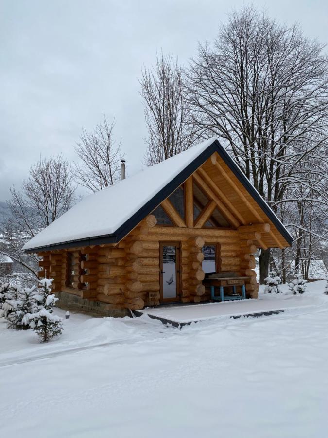 Chalet Pidstromom Mykulychyn Dış mekan fotoğraf