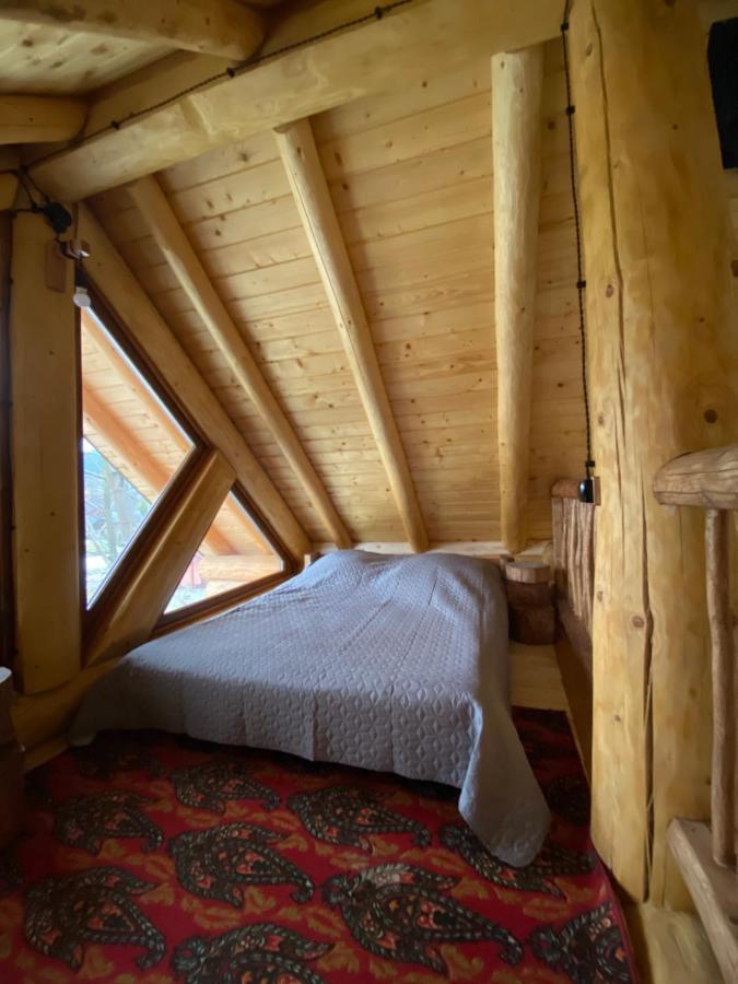 Chalet Pidstromom Mykulychyn Dış mekan fotoğraf
