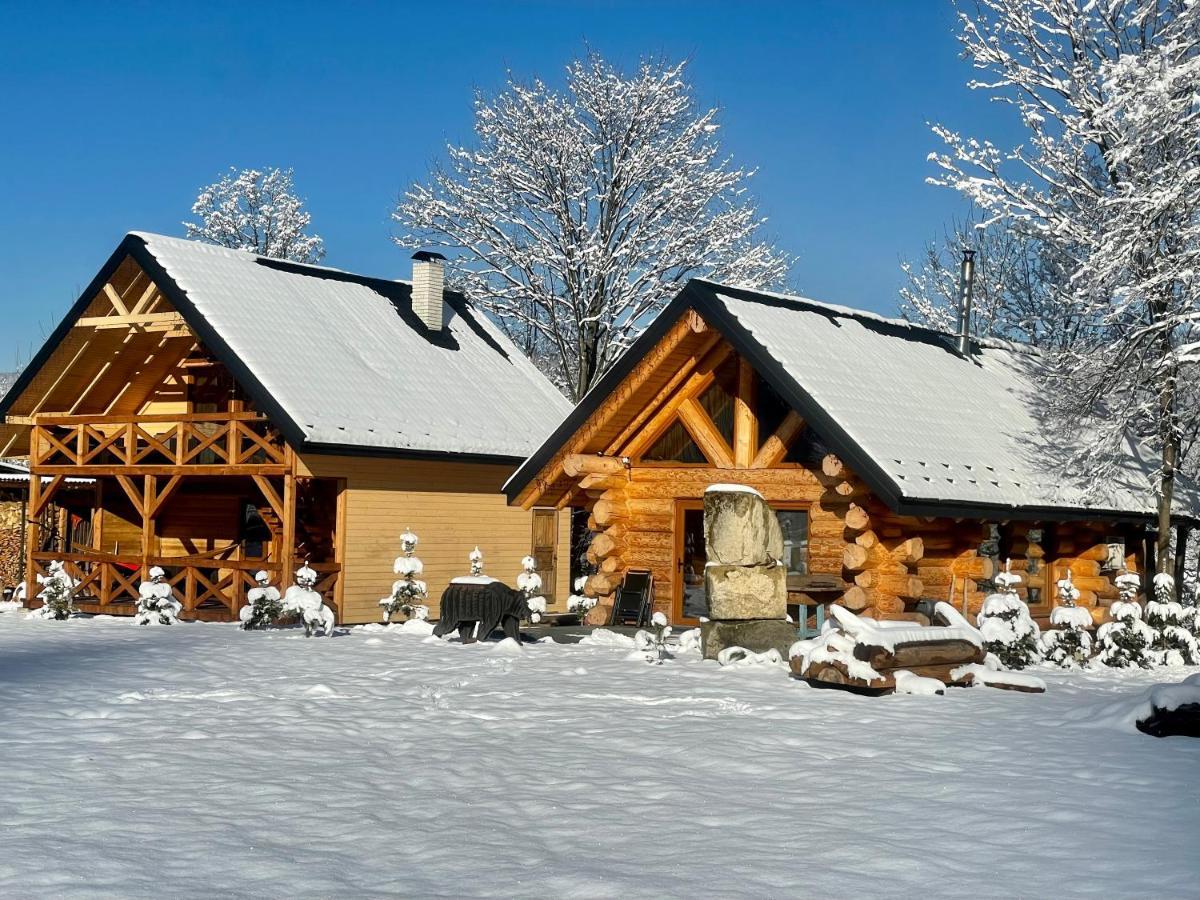 Chalet Pidstromom Mykulychyn Dış mekan fotoğraf