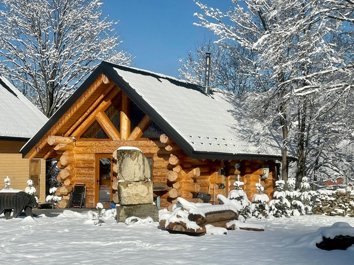Chalet Pidstromom Mykulychyn Dış mekan fotoğraf