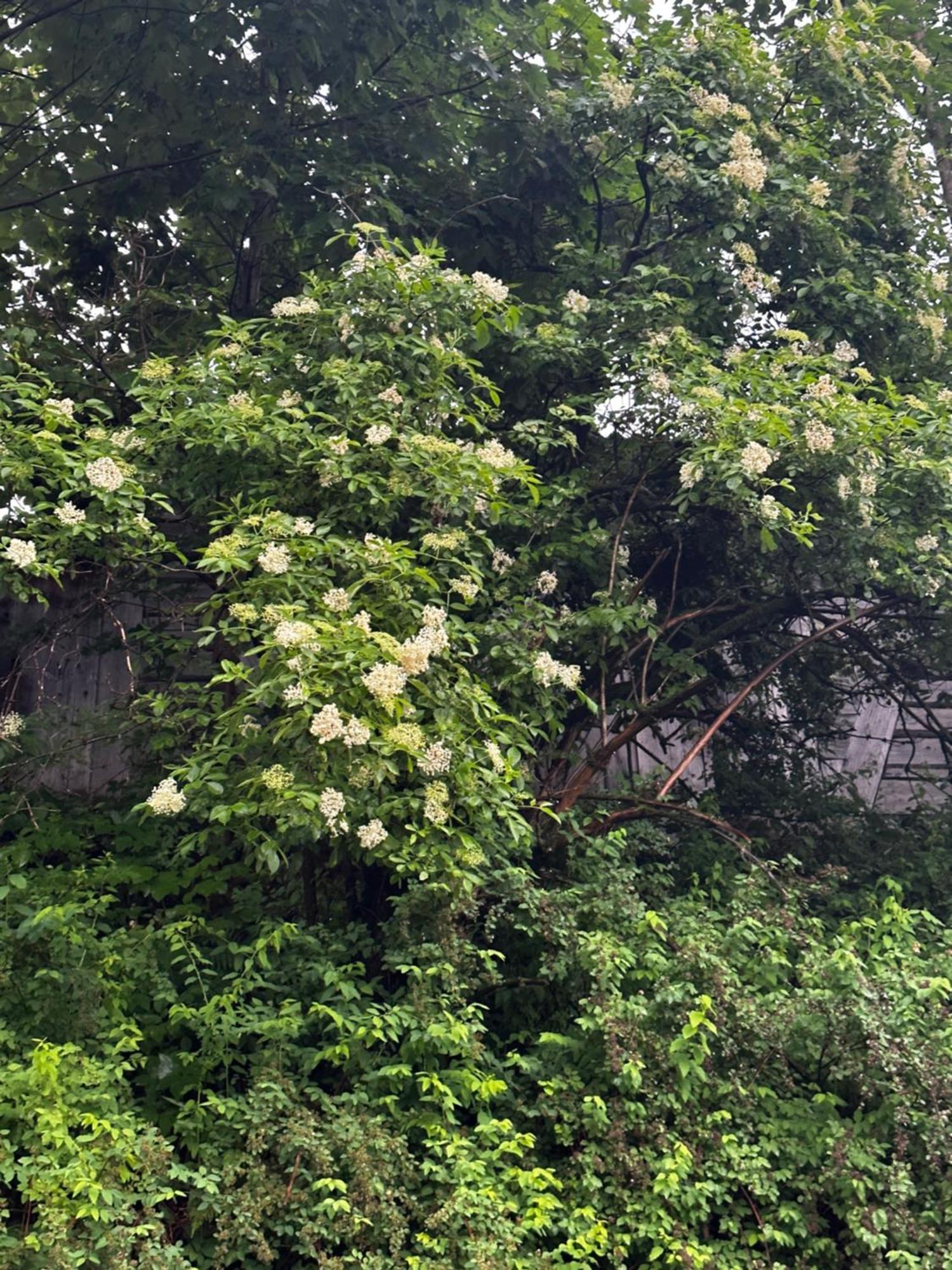Chalet Pidstromom Mykulychyn Dış mekan fotoğraf