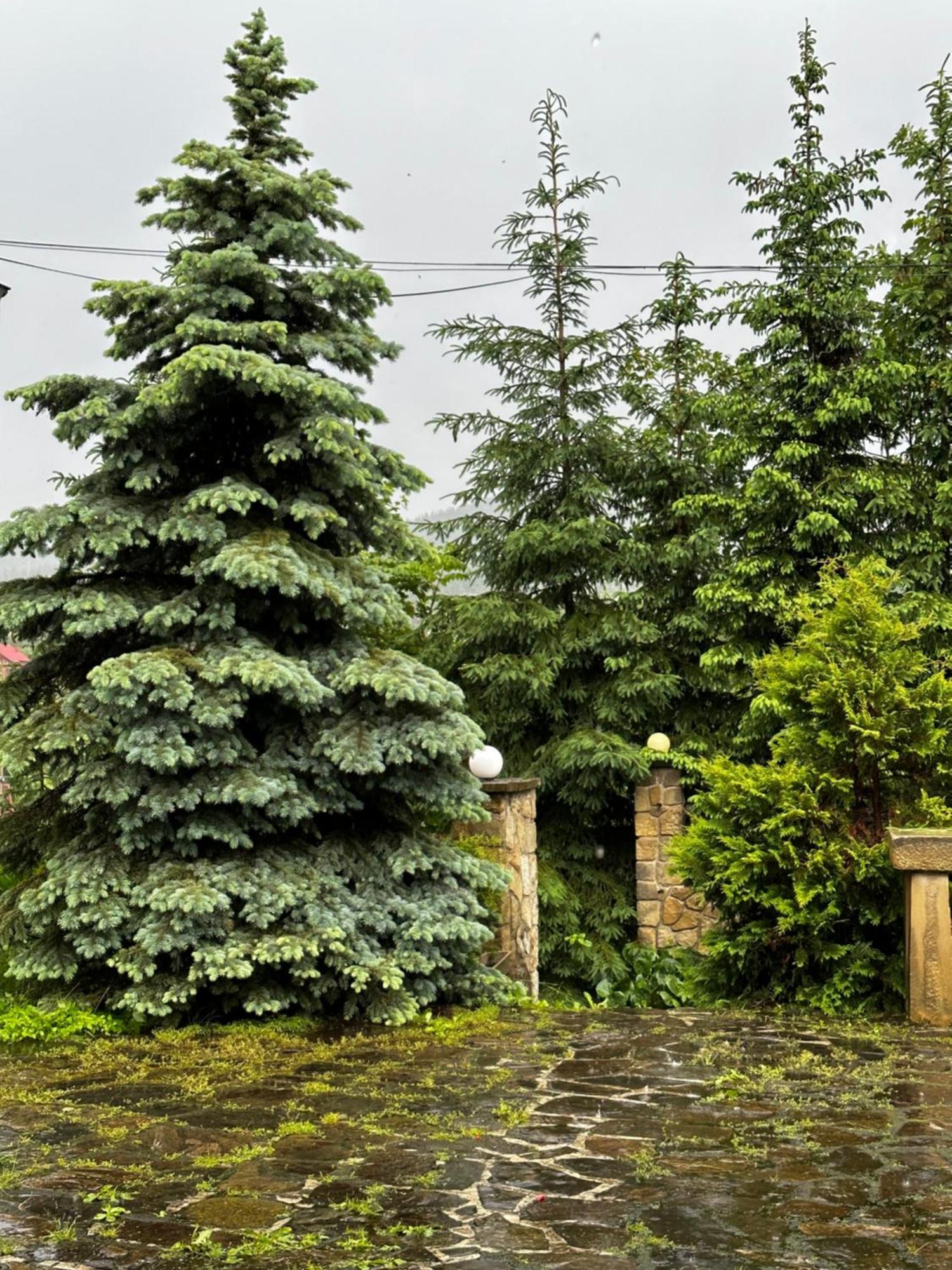 Chalet Pidstromom Mykulychyn Dış mekan fotoğraf