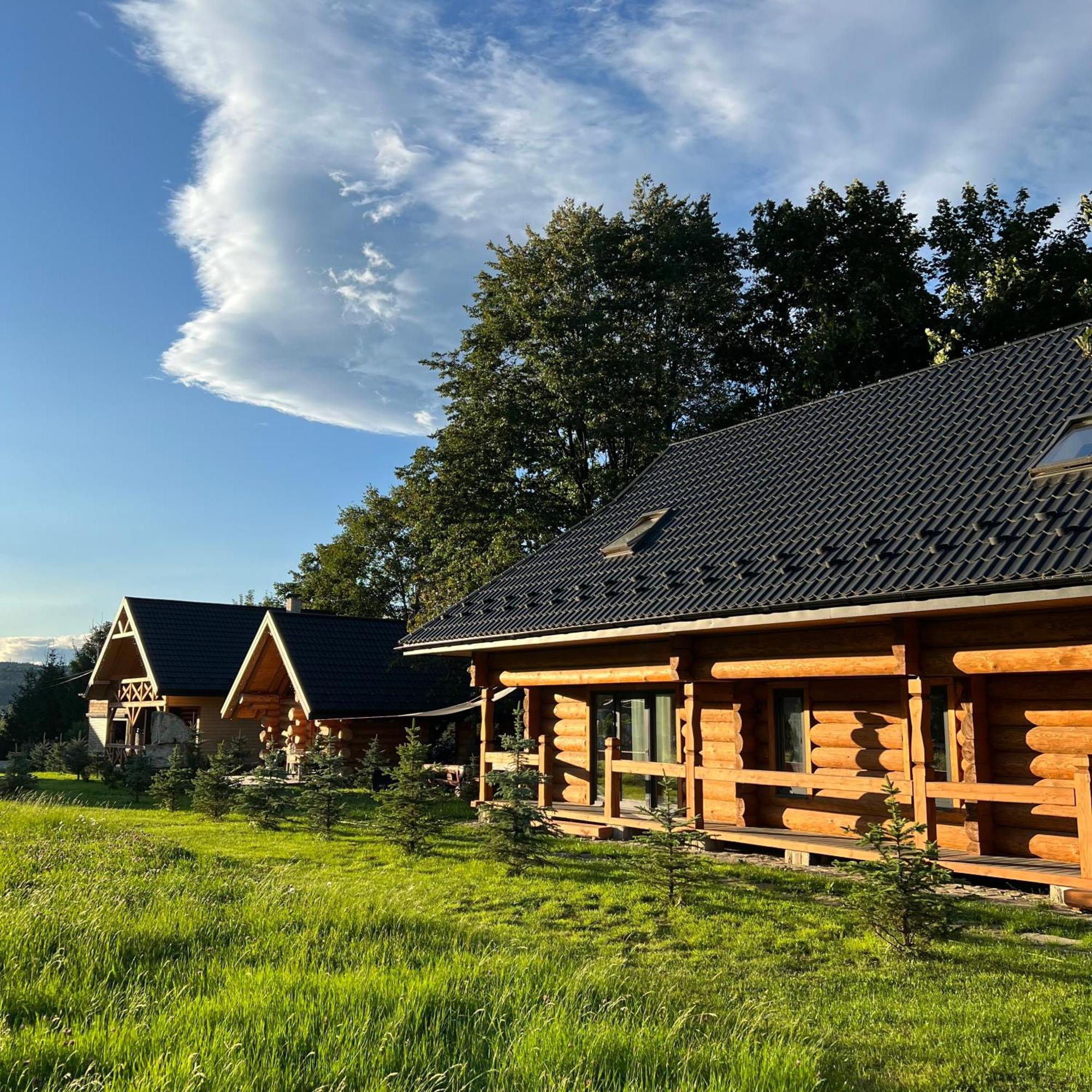 Chalet Pidstromom Mykulychyn Dış mekan fotoğraf